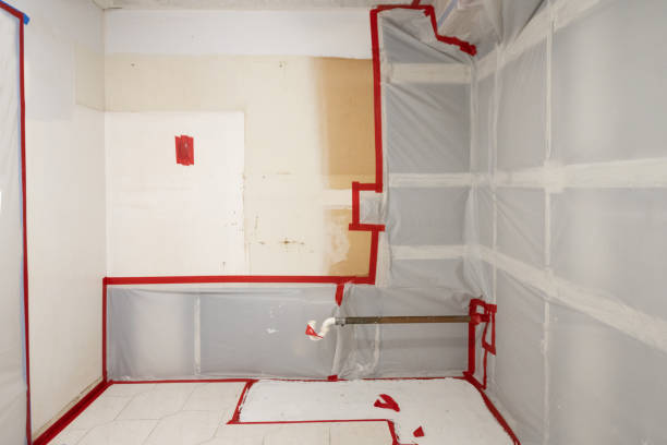 Best Asbestos and Lead Testing During Mold Inspection  in USA